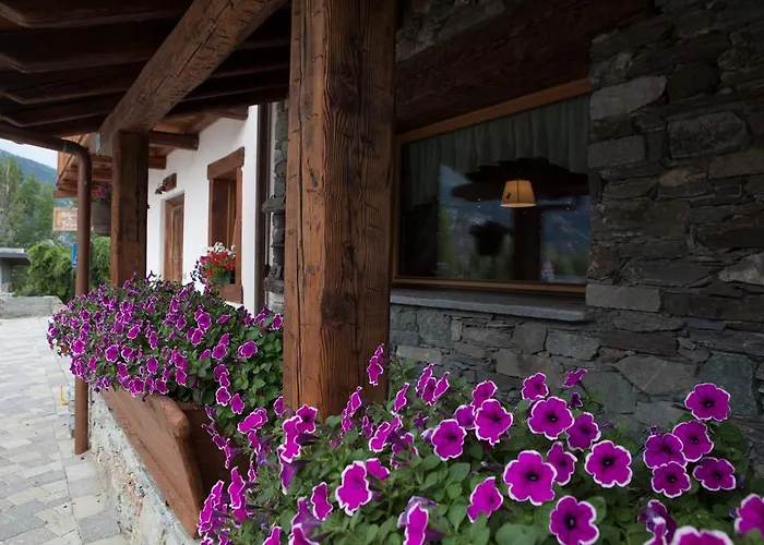 Relais Du Berger Gasthuis 4*